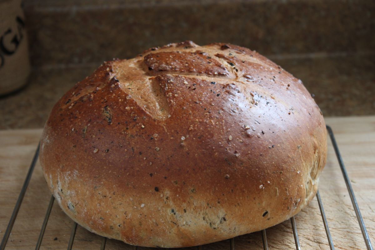 Name:  Olive bread 2.JPG
Views: 3166
Size:  118.8 KB