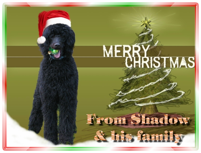 Name:  shadow-christmas-card-3.jpg
Views: 33525
Size:  291.5 KB