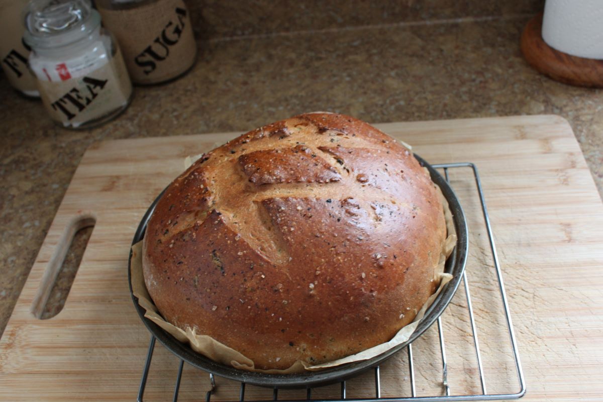 Name:  Olive bread 3.JPG
Views: 3188
Size:  130.0 KB