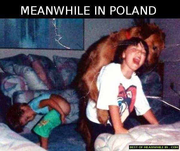 Name:  meanwhile-in-poland-two-kids-and-dog.jpg
Views: 2209
Size:  80.1 KB