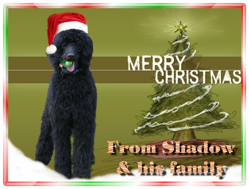 Name:  shadow-christmas-card-3.jpg
Views: 35045
Size:  291.5 KB